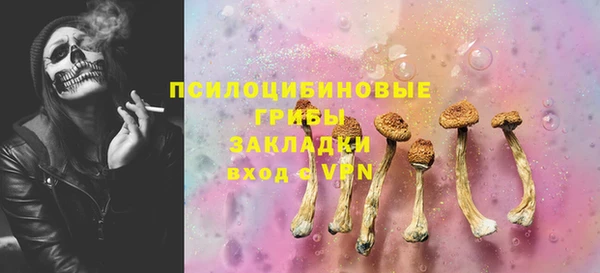 мет Алексин
