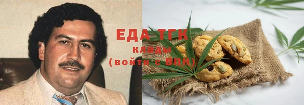 мет Алексин