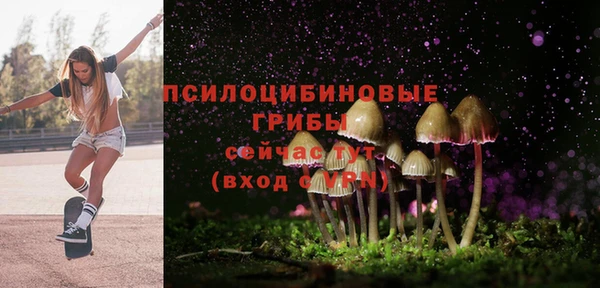 мет Алексин