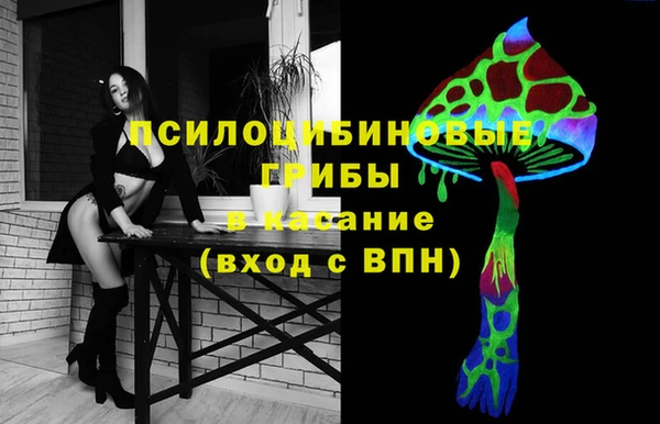 мет Алексин